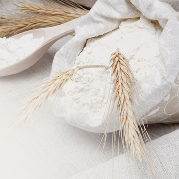Bulk Wheat Flour