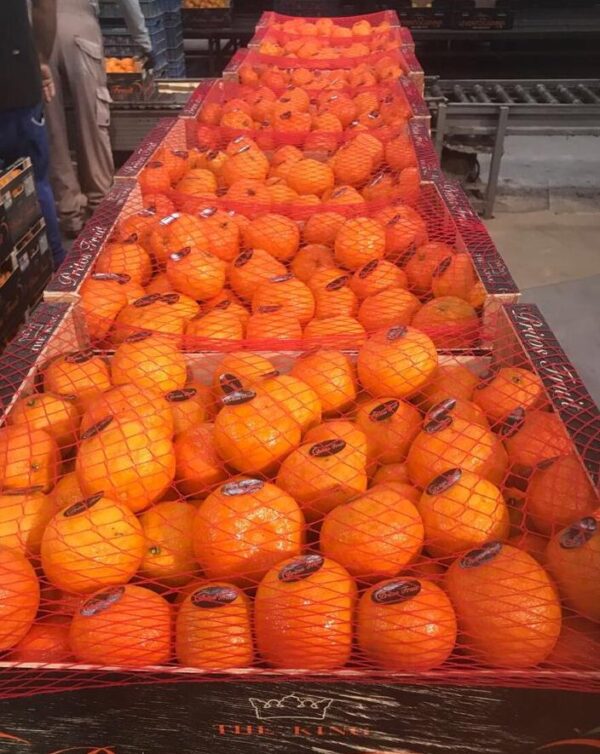 Tangerines - Image 2