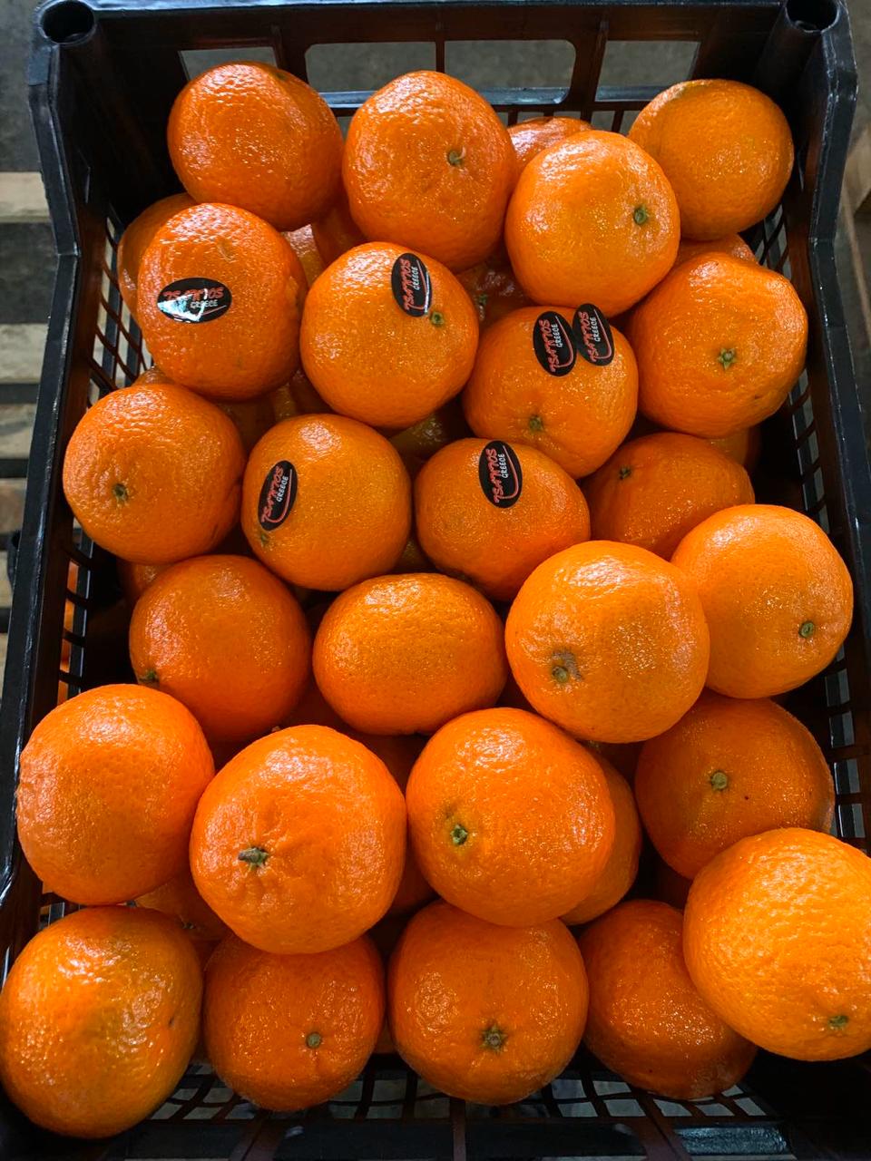 Tangerines