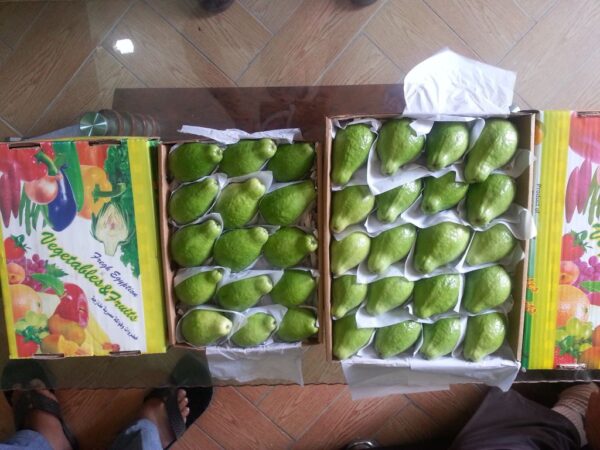Fresh Guava - Image 2