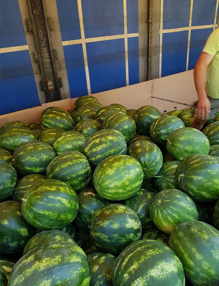 Watermelons