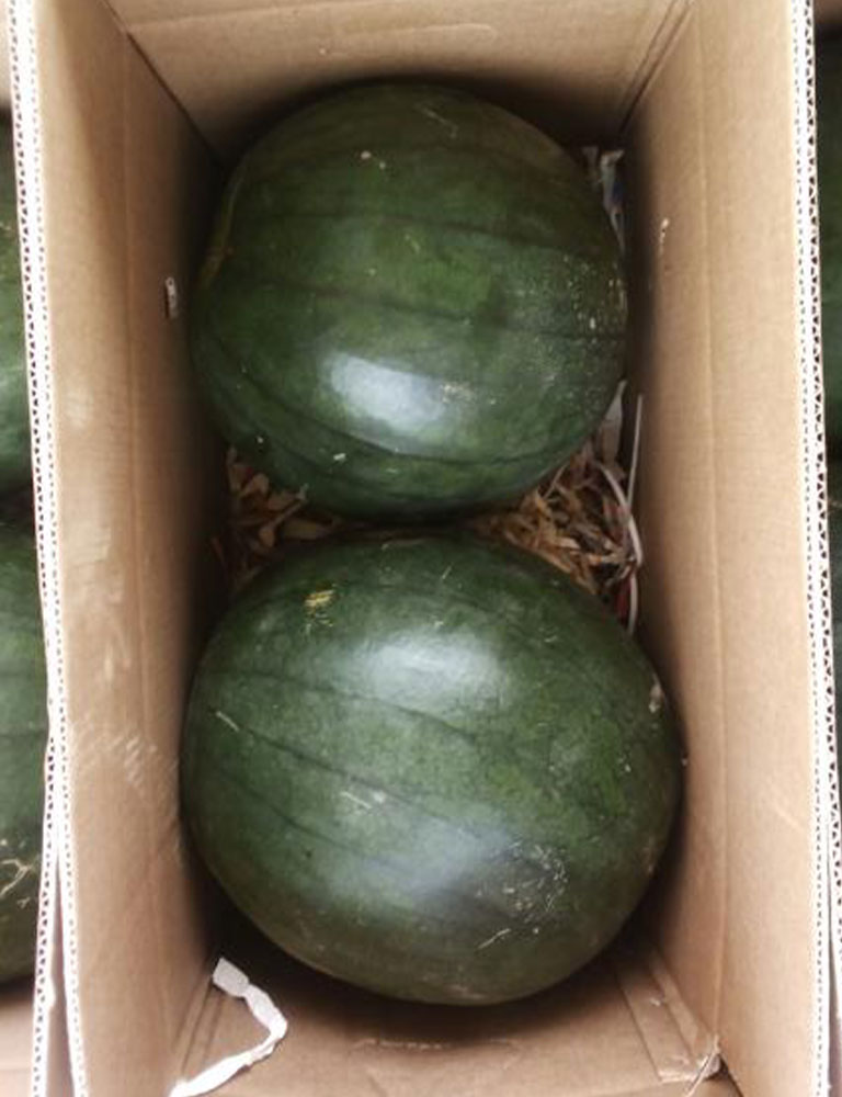 Watermelons - Image 3
